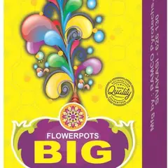 FLOWER POTS BIG