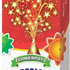 FLOWER POTS SPECIAL